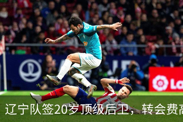 辽宁队签20岁顶级后卫，转会费高达8位数；北控官宣多名外援
